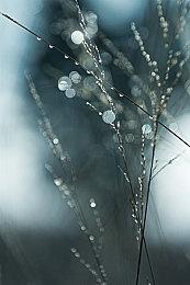 ATLUS又“炒冷饭”！《恶魔召唤师 葛叶雷道 复刻版: 超力兵团奇谭》开场动画公布